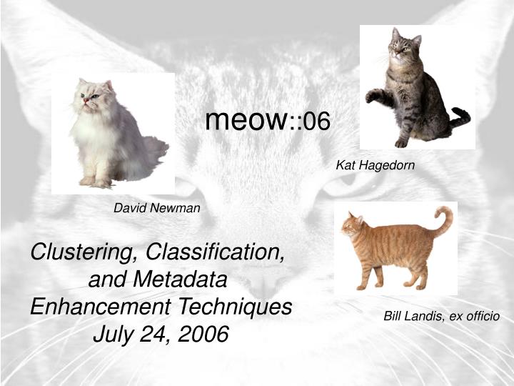 meow 06