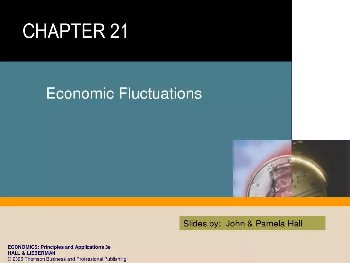 economic fluctuations