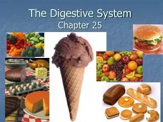 The Digestive System Chapter 25