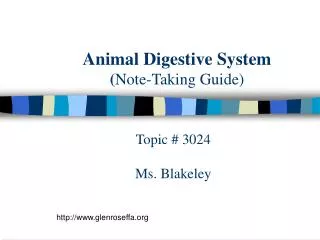 Animal Digestive System ( Note-Taking Guide)