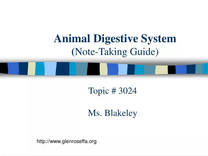 animal digestive system note taking guide