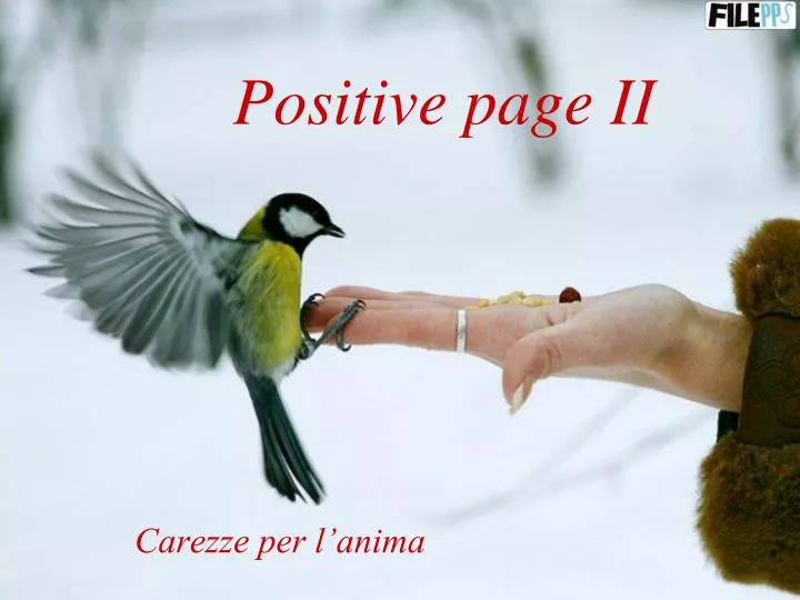 positive page ii
