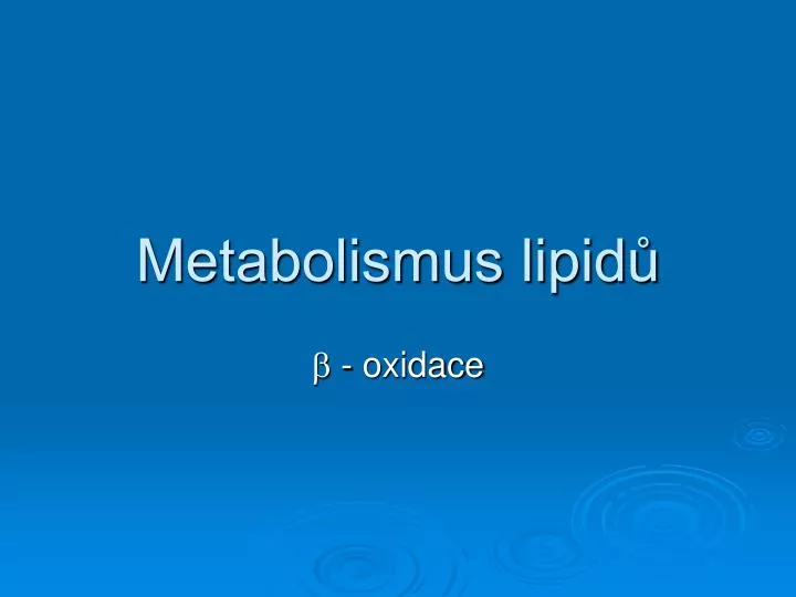 metabolismus lipid