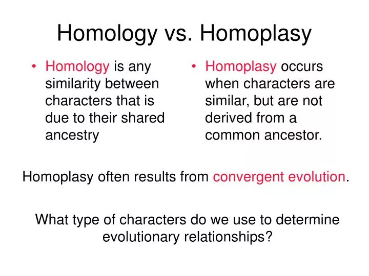 homology vs homoplasy