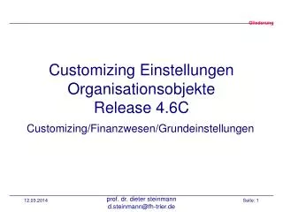 Customizing Einstellungen Organisationsobjekte Release 4.6C