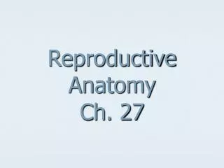 Reproductive Anatomy Ch. 27