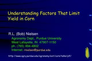Understanding Factors That Limit Yield in Corn