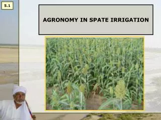 AGRONOMY IN SPATE IRRIGATION