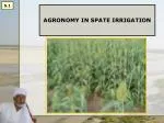 AGRONOMY IN SPATE IRRIGATION