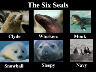 The Six Seals