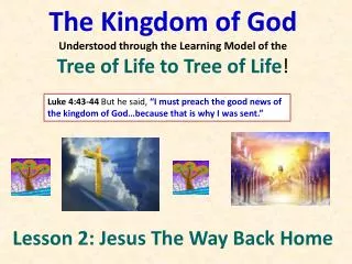 The Kingdom of God Understood through the Learning Model of the Tree of Life to Tree of Life !