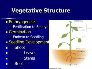 Vegetative Structure