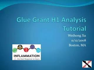 Glue Grant H1 Analysis Tutorial