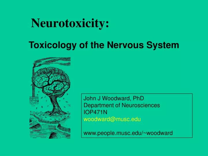 neurotoxicity