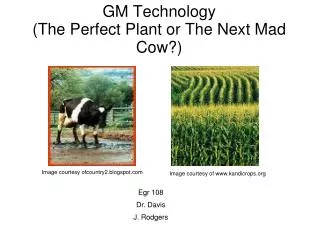 GM Technology (The Perfect Plant or The Next Mad Cow?)