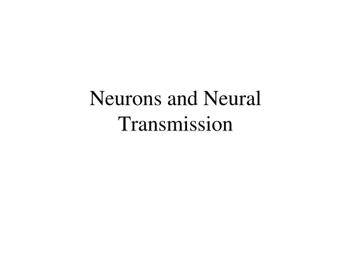neurons and neural transmission