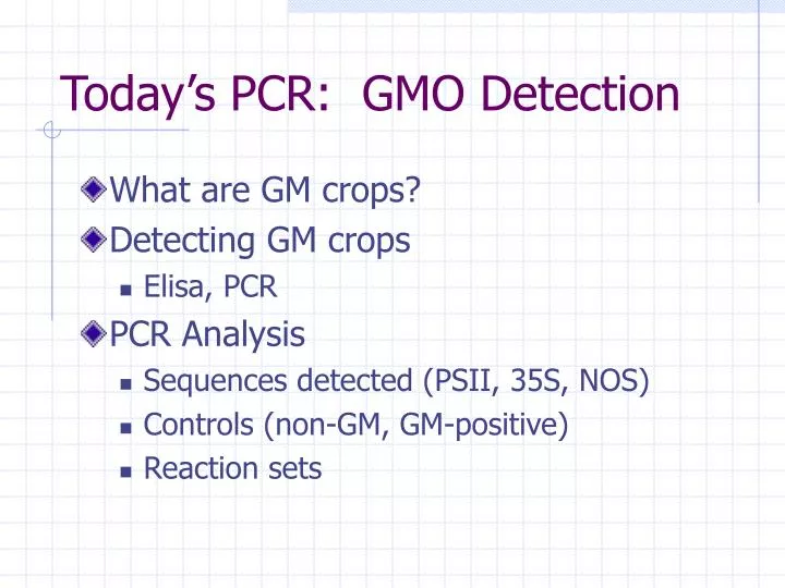 today s pcr gmo detection