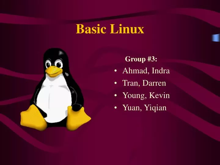 basic linux