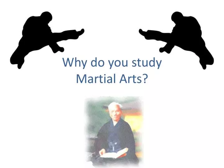 why do you study martial arts
