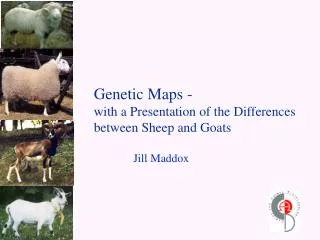 Genetic Maps - with a Presentation of the Differences between Sheep and Goats