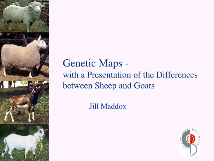 genetic maps with a presentation of the differences between sheep and goats