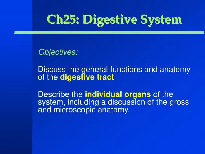 ch25 digestive system
