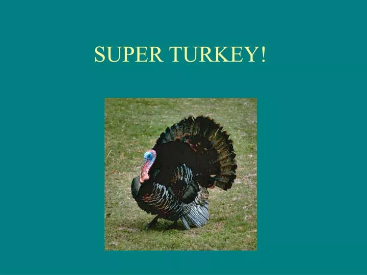 super turkey