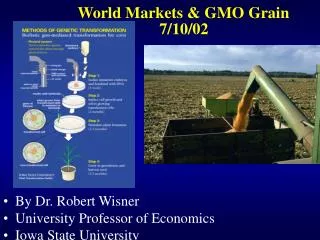 World Markets &amp; GMO Grain