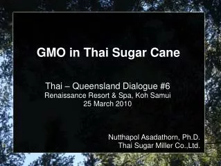 GMO in Thai Sugar Cane