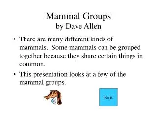 Mammal Groups by Dave Allen