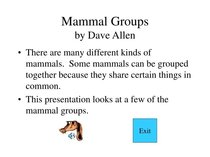 mammal groups by dave allen