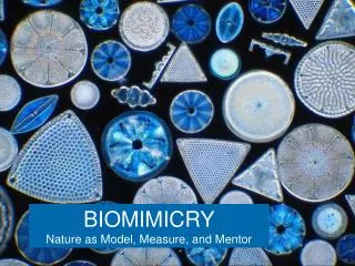 BIOMIMICRY Nature as Model, Measure, and Mentor