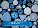 BIOMIMICRY Nature as Model, Measure, and Mentor - slide 1