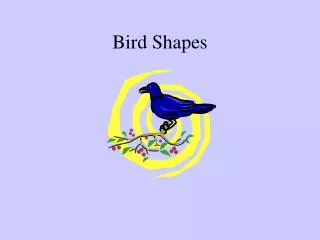 Bird Shapes
