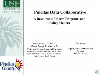Pinellas Data Collaborative A Resource to Inform Programs and Policy Makers
