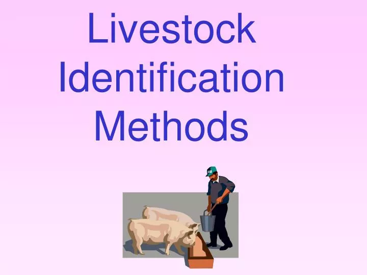 livestock identification methods