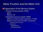 Motor Function and the Motor Unit