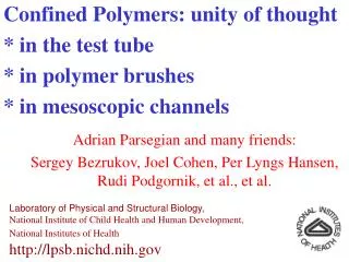 Confined Polymers: unity of thought * in the test tube * in polymer brushes * in mesoscopic channels
