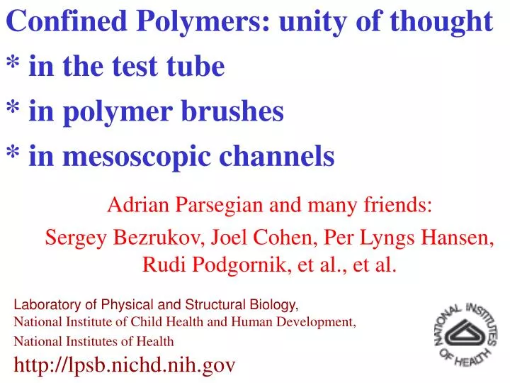 confined polymers unity of thought in the test tube in polymer brushes in mesoscopic channels