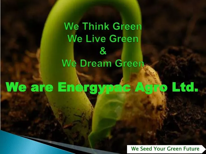 we think green we live green we dream green