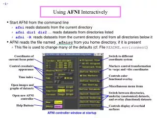 Using AFNI Interactively