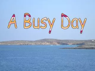 A Busy Day