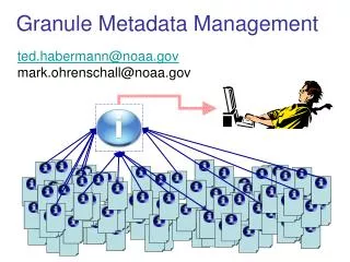 Granule Metadata Management