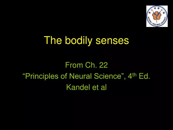 the bodily senses