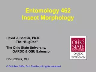 Entomology 462 Insect Morphology