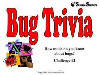 How much do you know about bugs? Challenge #2