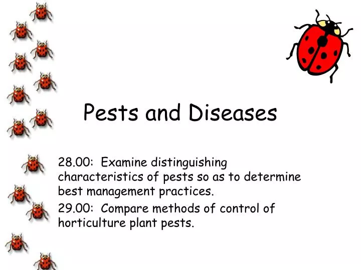 pests and diseases