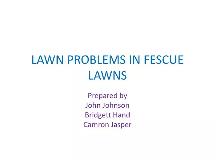 lawn problems in fescue lawns