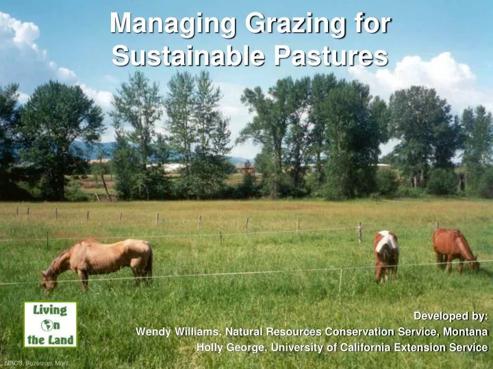 managing grazing for sustainable pastures