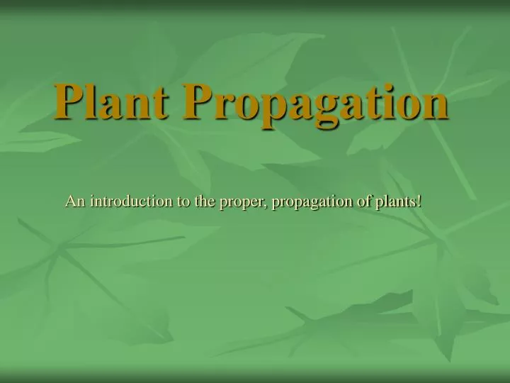 plant propagation